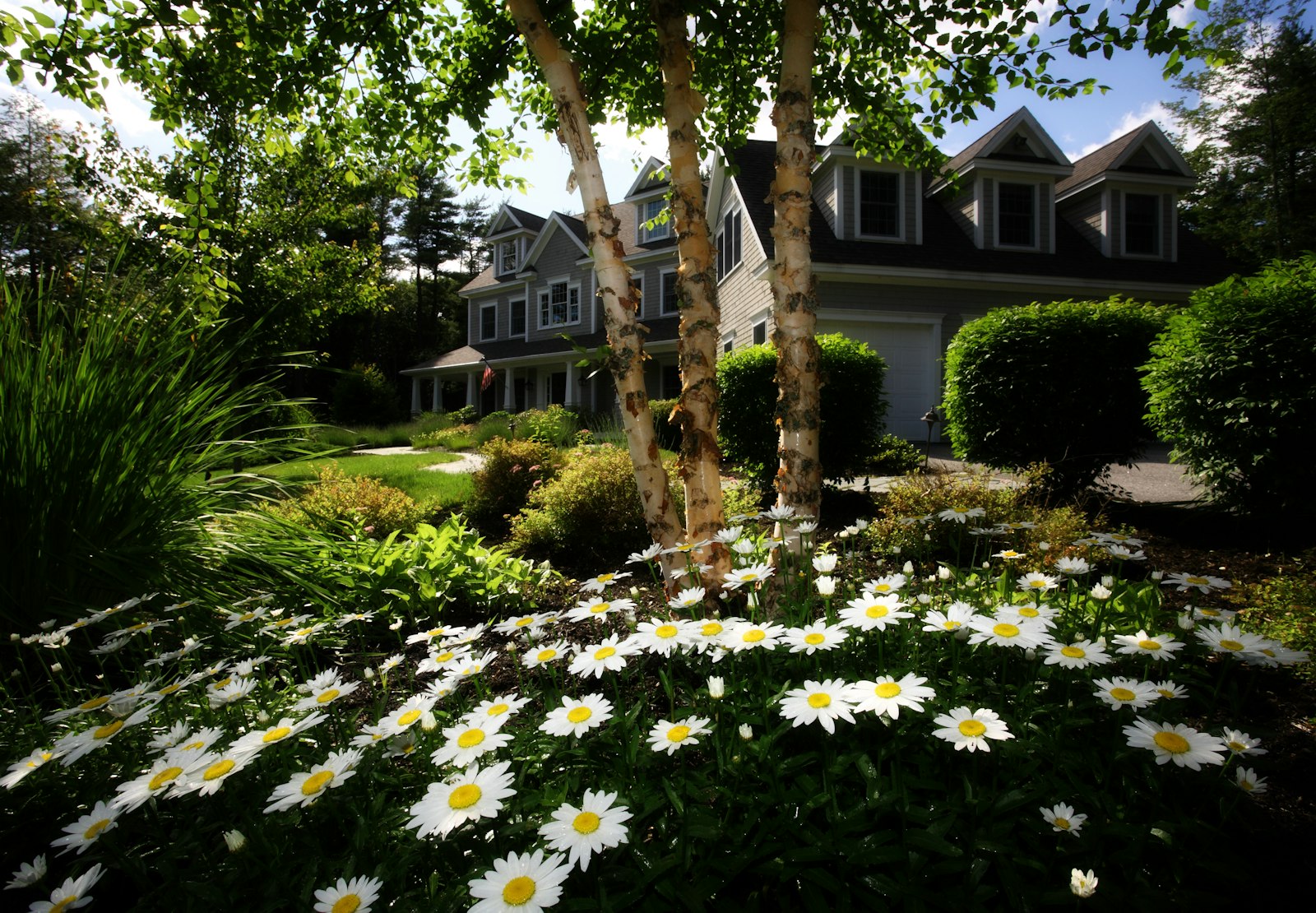 Larkfield Commons