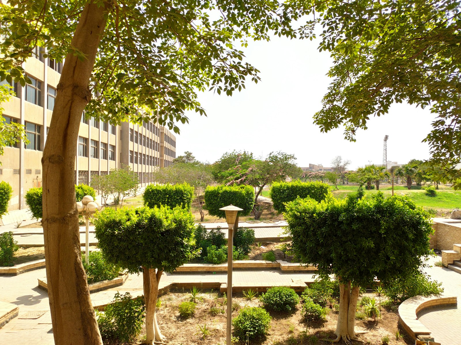 Corbin Hall Residences