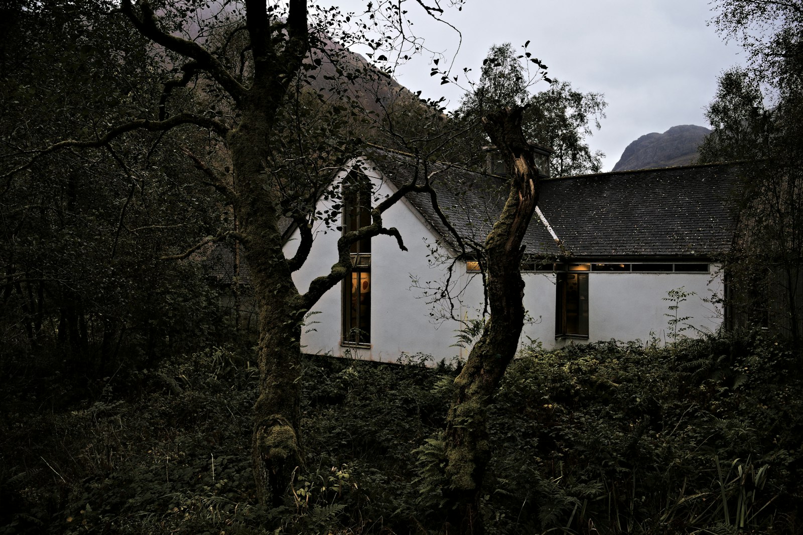 White house among dark pine trees