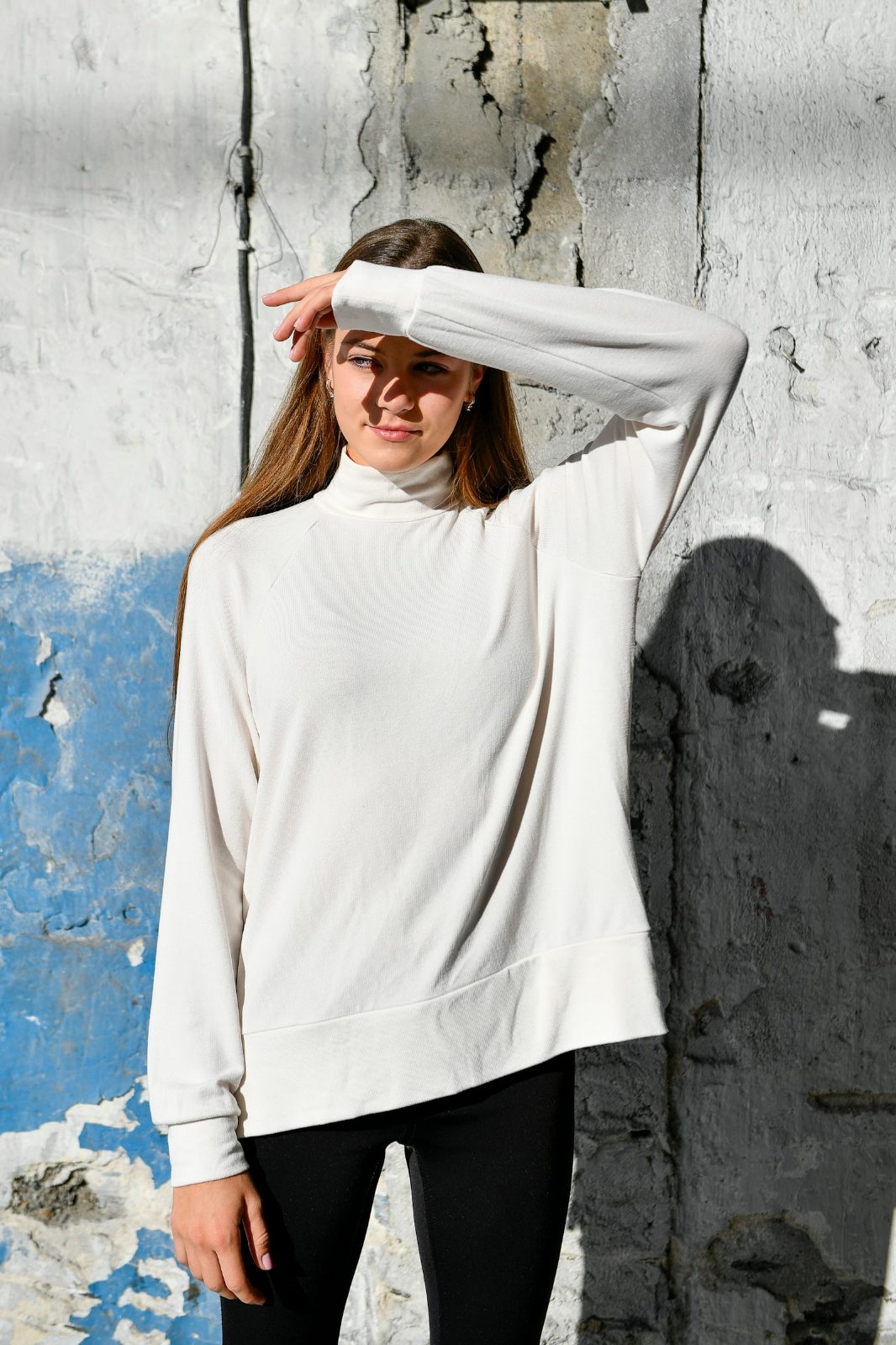 Elske Brandwijk, Visualisation Architect