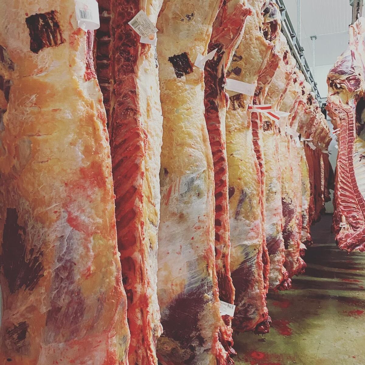 Beef sides hanging on a rail, each with a label
